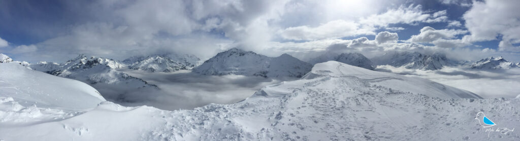 Alpentower Gratblick
