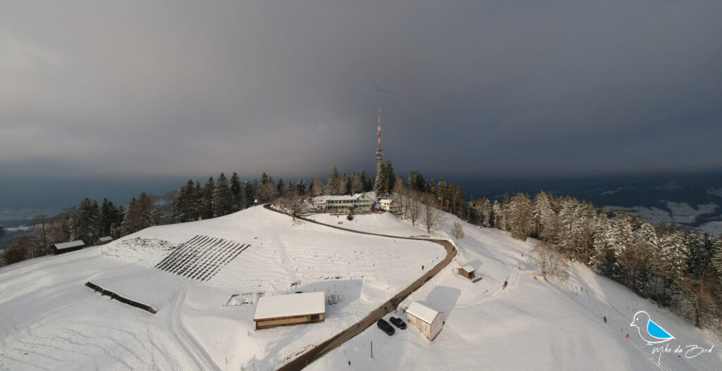 Winterwald am Bachtel